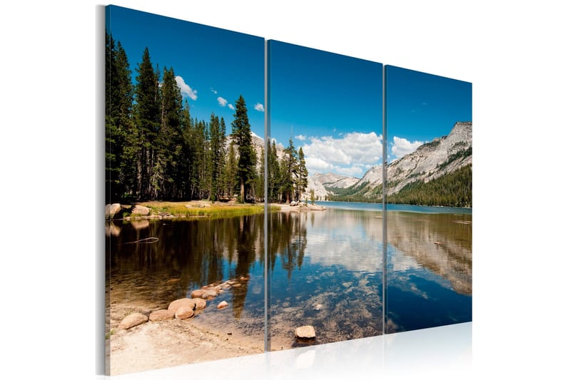 Tavla Mountains, trees and pure lake 90x60, Artgeist sp. z o. o.