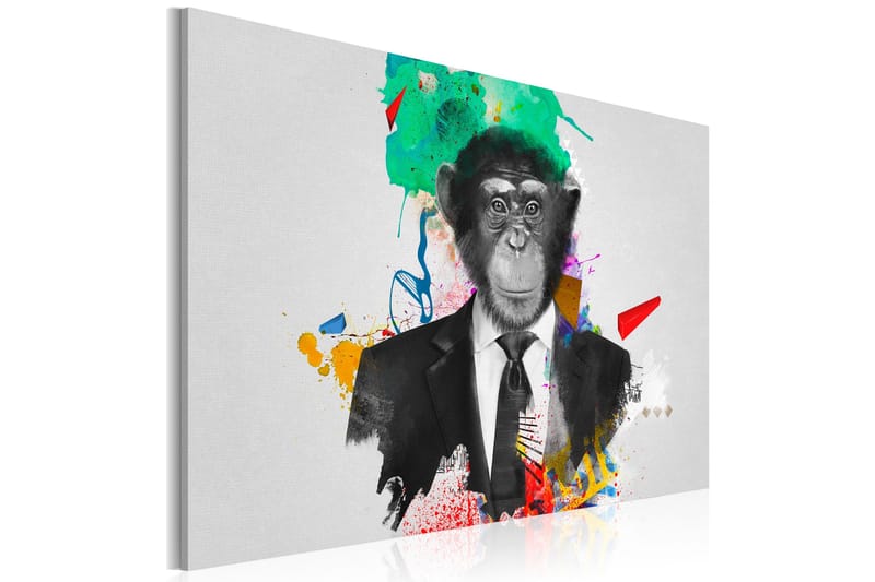 Tavla Mr Monkey 60x40, Artgeist sp. z o. o.