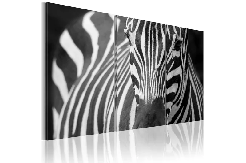 Tavla Mrs Zebra 120X80 Vit|Svart - Artgeist sp. z o. o. - Inredning & dekor - Tavlor & konst - Canvastavla
