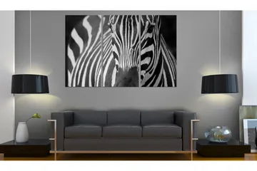 Tavla Mrs Zebra 60x40 - Artgeist sp. z o. o. - Inredning & dekor - Tavlor & konst - Canvastavla