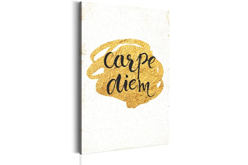 Tavla My Home: Carpe Diem 80x120 VALUE_MISSING_1