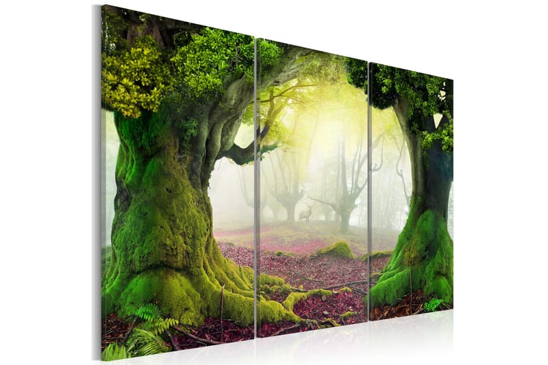 Tavla Mysterious forest triptych 90x60, Artgeist sp. z o. o.