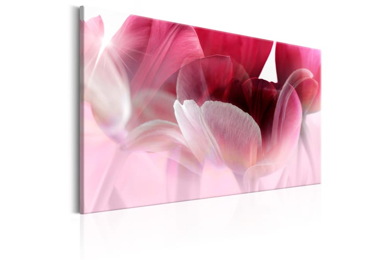 TAVLA Nature: Pink Tulips 90x60 - Artgeist sp. z o. o. - Inredning & dekor - Tavlor & konst - Canvastavla