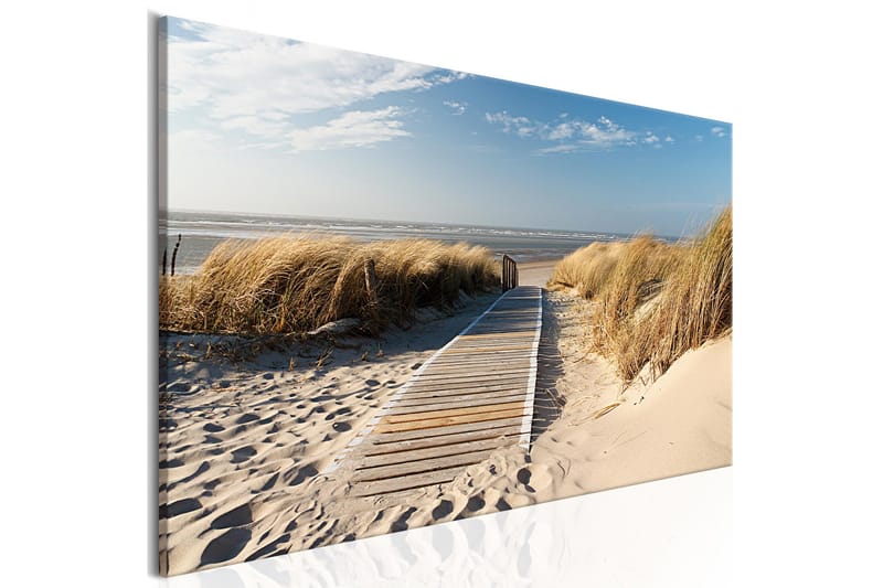 Tavla Obevakad Strand 150x50, Artgeist sp. z o. o.