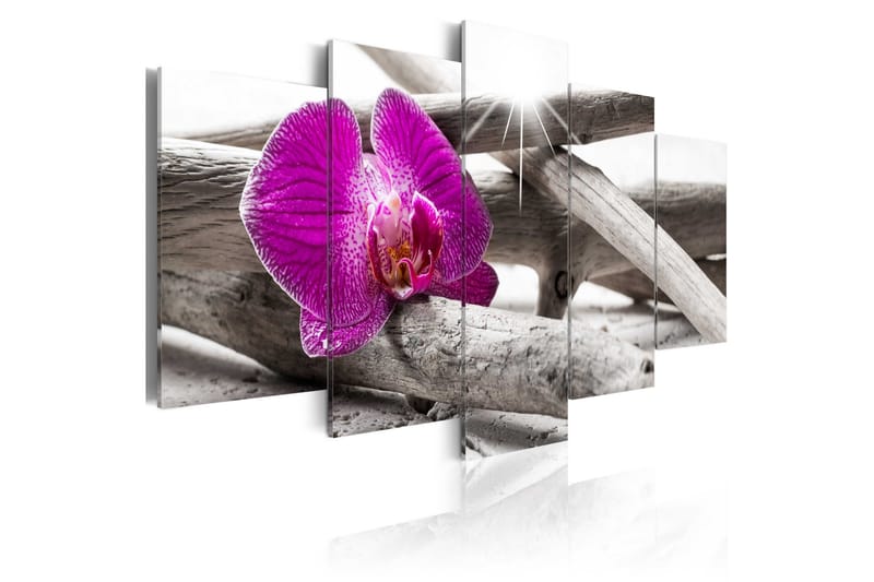 Tavla Orchid On Beach 100x50, Artgeist sp. z o. o.