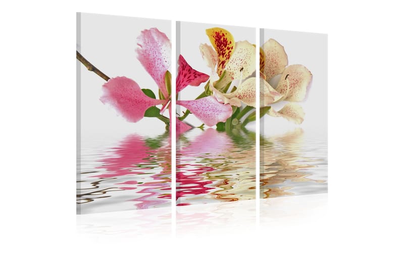 Tavla Orchid with colorful spots 90x60, Artgeist sp. z o. o.