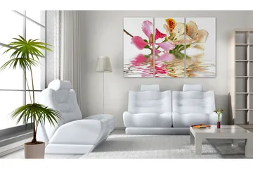 Tavla Orchid with colorful spots 90x60 - Artgeist sp. z o. o. - Inredning & dekor - Tavlor & konst - Canvastavla