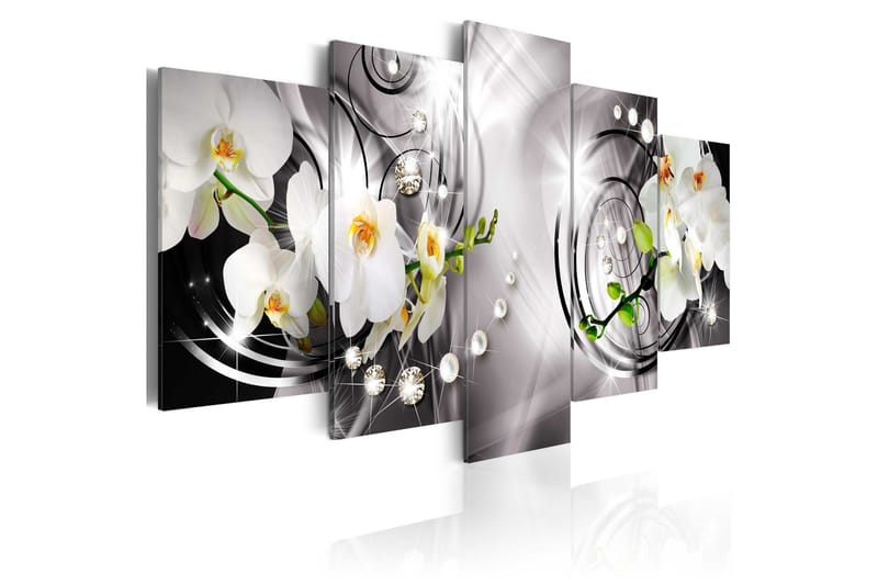 Tavla Orchid Pearls And Diamonds 200x100, Artgeist sp. z o. o.