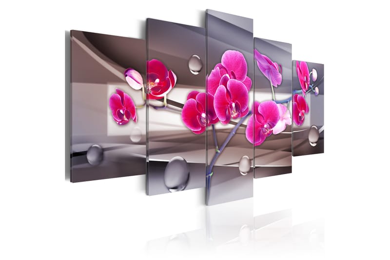 Tavla Orkidé På En Dämpad Bakgrund 200X100 Rosa|Vit Blommor - Artgeist sp. z o. o. - Inredning & dekor - Tavlor & konst - Canvastavla