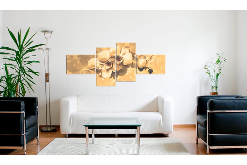Tavla Orkidéer Sepia 100x45 - Artgeist sp. z o. o. - Inredning & dekor - Tavlor & konst - Canvastavla