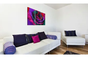 Tavla Rainbow-Färgade Rose 60x40 - Artgeist sp. z o. o. - Inredning & dekor - Tavlor & konst - Canvastavla
