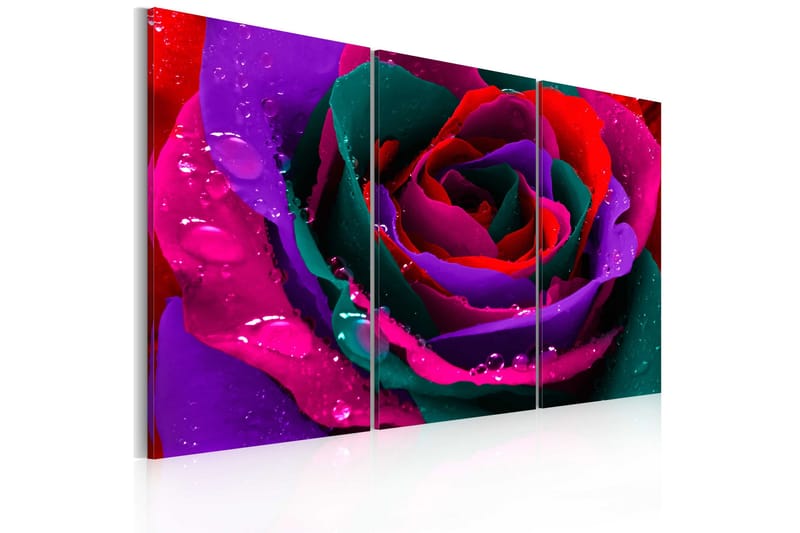 Tavla Rainbow-färgade rose 90x60, Artgeist sp. z o. o.