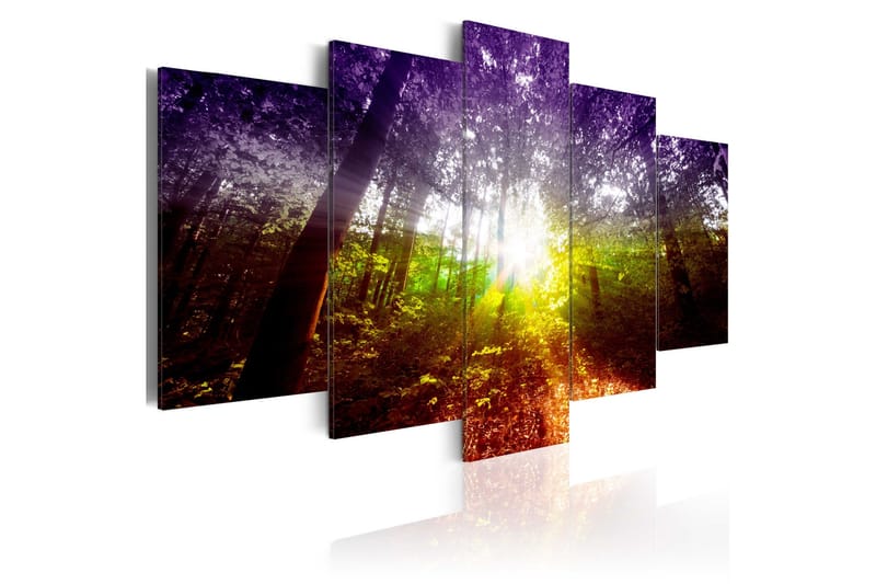 Tavla Rainbow Forest 200x100, Artgeist sp. z o. o.