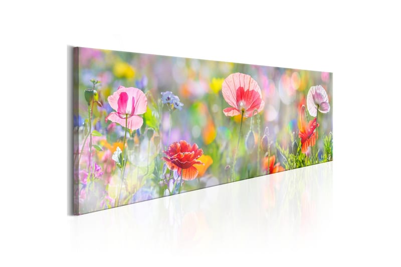 Tavla Rainbow of Morning Poppies 135x45 - Inredning & dekor - Tavlor & konst - Canvastavla