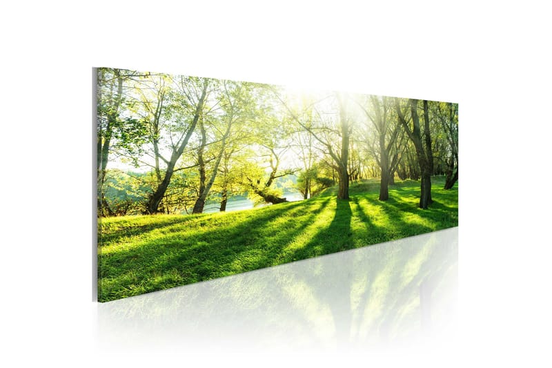 Tavla Rays Of Sunshine 120X40 Grön, Artgeist sp. z o. o.