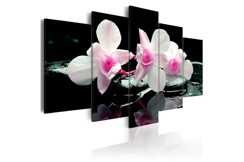Tavla Rest Of Orchids 200x100, Artgeist sp. z o. o.