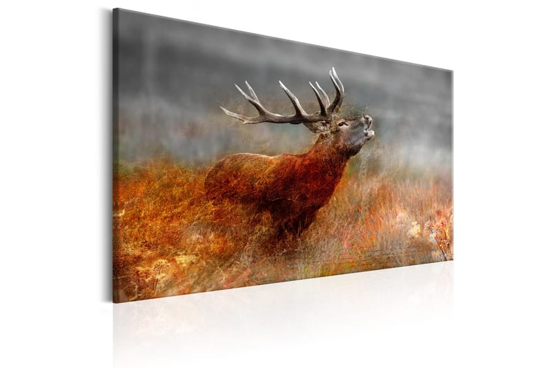 Tavla Roaring Deer 120x80 - Artgeist sp. z o. o. - Inredning & dekor - Tavlor & konst - Canvastavla