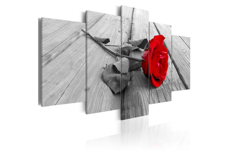 Tavla Rose On Wood 200X100 Grå|Vit - Artgeist sp. z o. o. - Inredning & dekor - Tavlor & konst - Canvastavla
