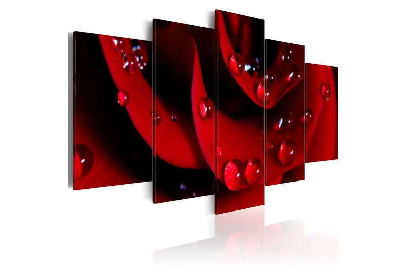 Tavla Rose With Dew 200x100, Artgeist sp. z o. o.