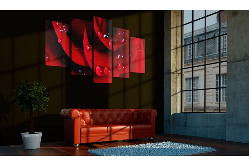 Tavla Rose With Dew 200x100 - Artgeist sp. z o. o. - Inredning & dekor - Tavlor & konst - Canvastavla