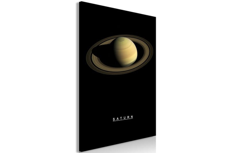Tavla Saturn (1 Part) Vertical 60x90 - Artgeist sp. z o. o. - Inredning & dekor - Tavlor & konst - Canvastavla