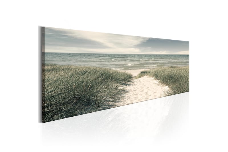 TAVLA Secrets of the Sea 120x40 - Artgeist sp. z o. o. - Inredning & dekor - Tavlor & konst - Canvastavla