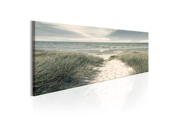 TAVLA Secrets of the Sea 135x45
