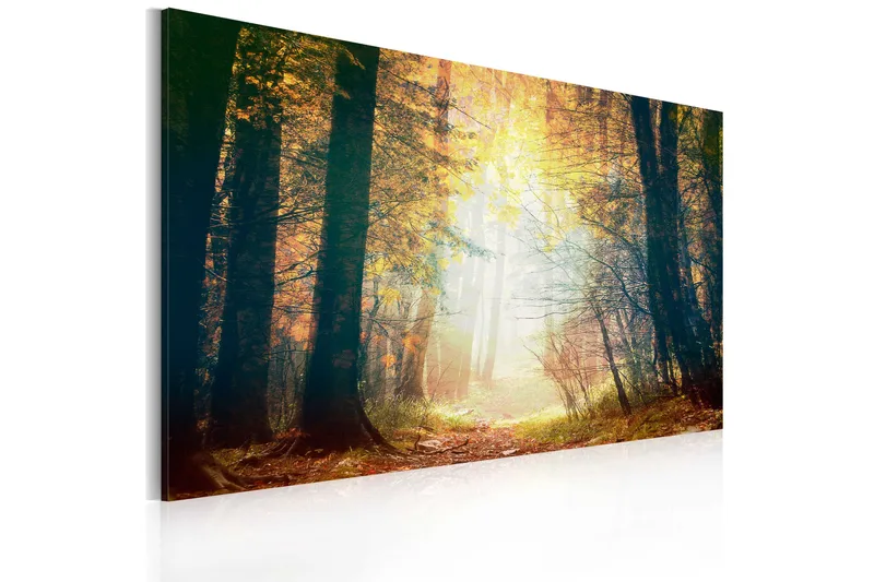 Artgeist sp. z o. o. Tavla Skönheten Höst 60X40 Flerfärgad