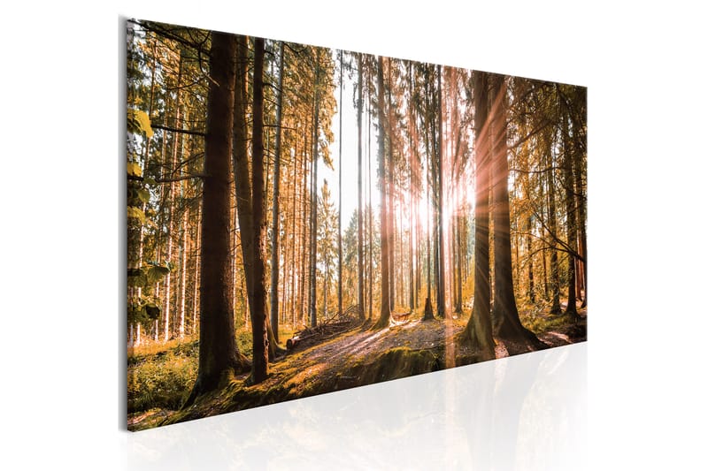 TAVLA Small Natural Wonders 120x40 - Artgeist sp. z o. o. - Inredning & dekor - Tavlor & konst - Canvastavla