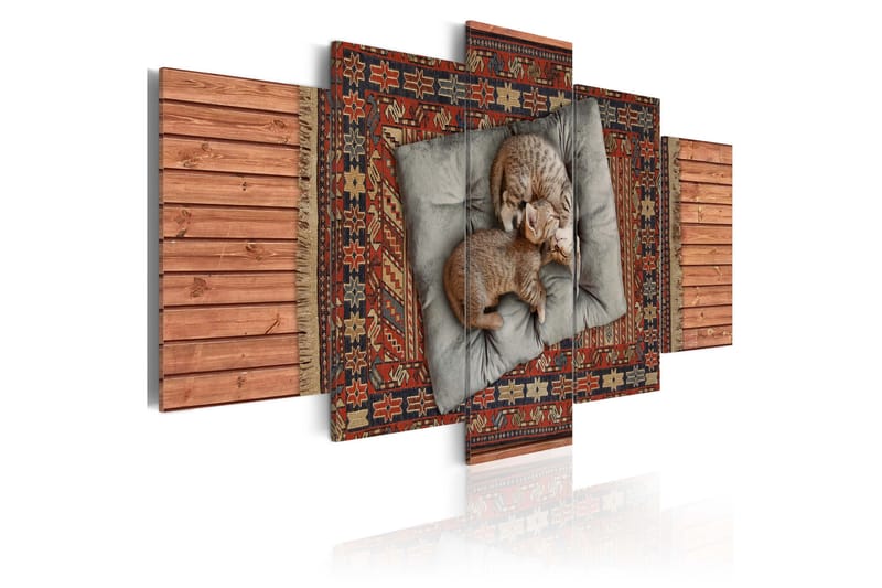 Tavla Soft kitty, warm kitty, little ball of fur 200x100 - Artgeist sp. z o. o. - Inredning & dekor - Tavlor & konst - Canvastavla