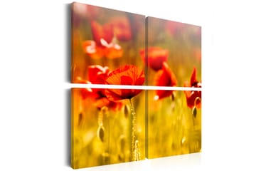 Tavla Sommartid 80X80 Orange