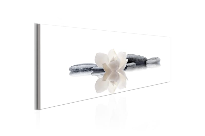 Tavla Spa Beauty And Relaxation 150X50 Vit, Artgeist sp. z o. o.