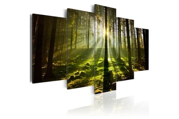 Tavla Spring Silence 100X50 Grön