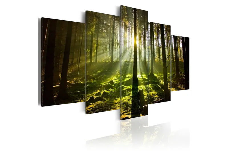 Tavla Spring Silence 100X50 Grön - Artgeist sp. z o. o. - Inredning & dekor - Tavlor & konst - Canvastavla