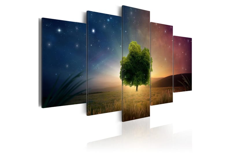 Tavla Starry Nights 100x50, Artgeist sp. z o. o.