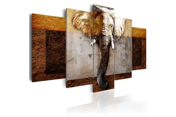 Tavla Strength Of Africa 100X50 Brun|Vit