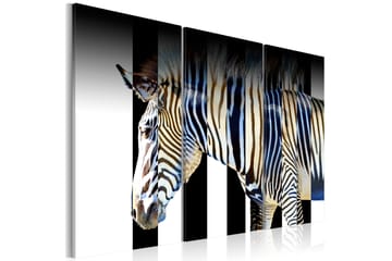 Tavla Stripes 120x80