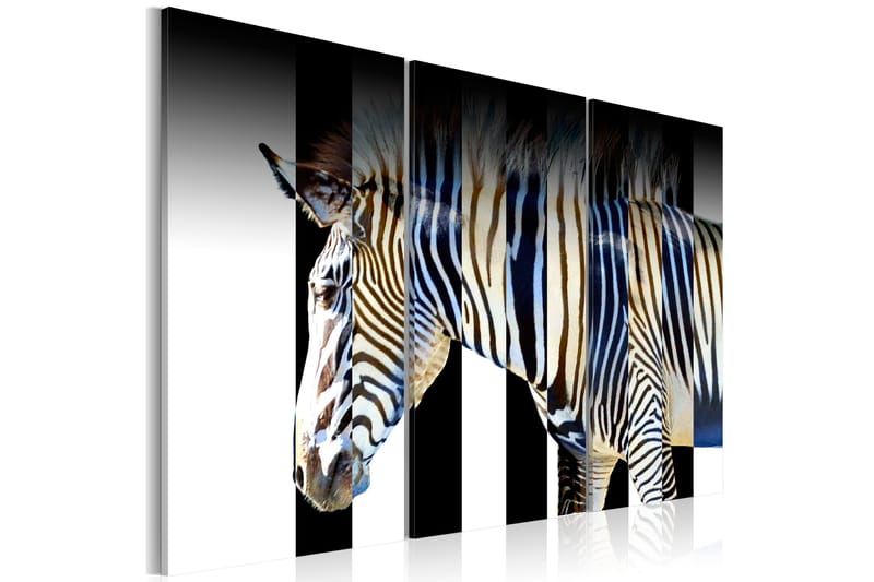 Tavla Stripes 60X40 Svartvit|Flerfärgad - Artgeist sp. z o. o. - Inredning & dekor - Tavlor & konst - Canvastavla