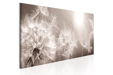 Tavla Summer Dandelions 120X40 Beige|Grå