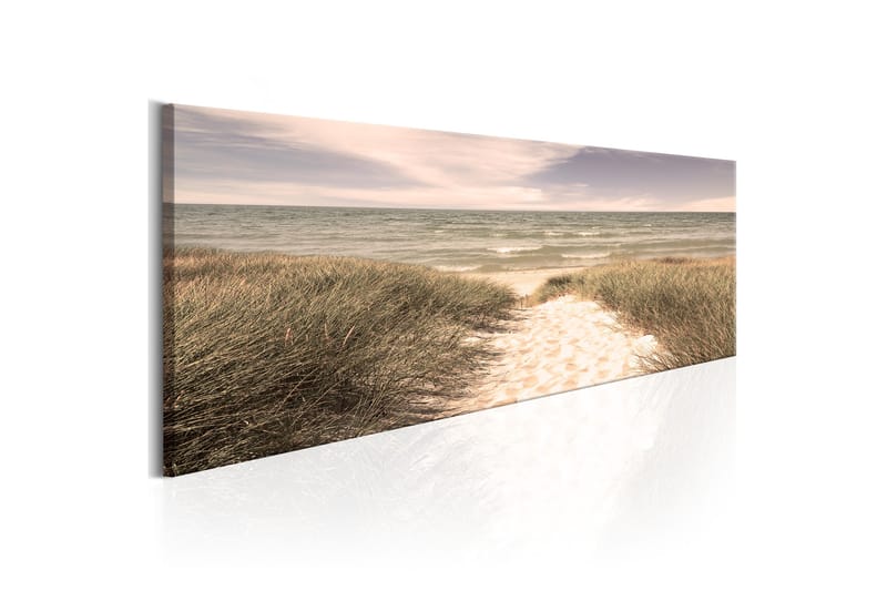 TAVLA Summer Dream 135x45 - Artgeist sp. z o. o. - Inredning & dekor - Tavlor & konst - Canvastavla