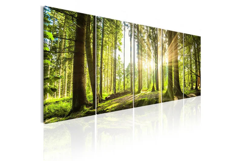 Tavla Sunlight 200x80 - Artgeist sp. z o. o. - Inredning & dekor - Tavlor & konst - Canvastavla