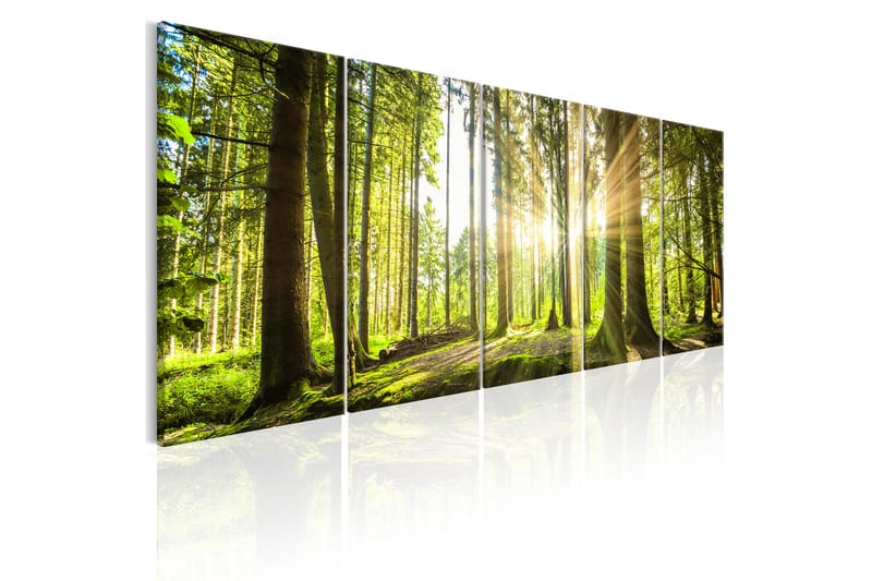 Tavla Sunlight 225X90 Grön|Flerfärgad - Artgeist sp. z o. o. - Inredning & dekor - Tavlor & konst - Canvastavla