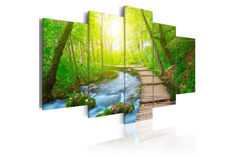 Tavla Sunny Forest 200x100, Artgeist sp. z o. o.