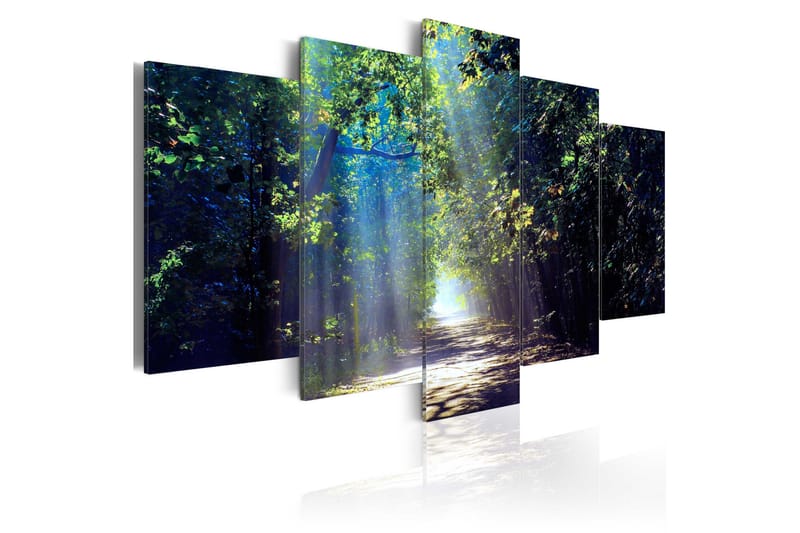 Tavla Sunny Forest Path 200x100, Artgeist sp. z o. o.