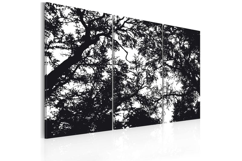 Tavla Tät Skog 120x80 - Artgeist sp. z o. o. - Inredning & dekor - Tavlor & konst - Canvastavla