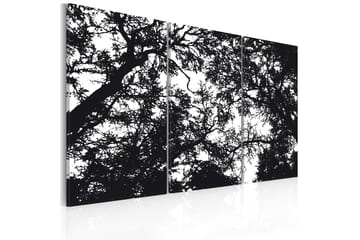 TAVLA Tät skog 90x60