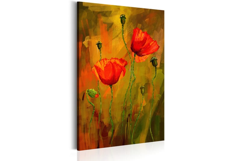 TAVLA The Awakening of Poppy 40x60 - Artgeist sp. z o. o. - Inredning & dekor - Tavlor & konst - Canvastavla