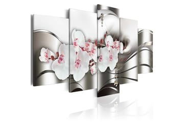 Tavla The Beauty Of Orchids 100X50 Rosa|Vit