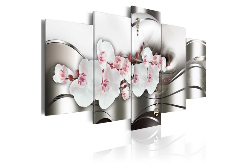 Tavla The Beauty Of Orchids 200x100 - Artgeist sp. z o. o. - Inredning & dekor - Tavlor & konst - Canvastavla