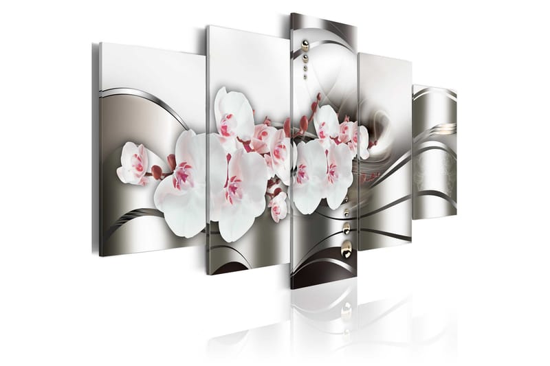 Tavla The Beauty Of Orchids 200X100 Rosa|Grå - Artgeist sp. z o. o. - Inredning & dekor - Tavlor & konst - Canvastavla